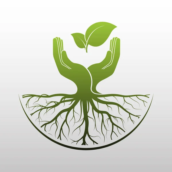 Logotipo Del Árbol Verde Mano Humana Con Raíz Icono Naturaleza — Vector de stock