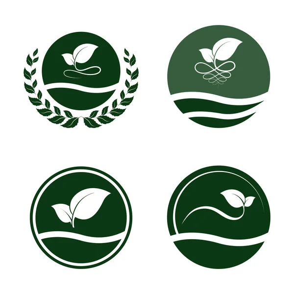 Zielony Liść Logo Białym Tle Pozostawia Ikona Ilustracja Wektorowa — Wektor stockowy