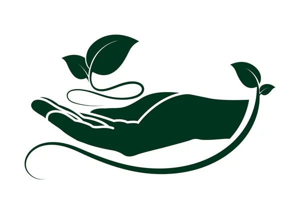 Hoja Icono Mano Símbolos Signos Ecológicos Concepto Naturaleza Verde Logotipo — Archivo Imágenes Vectoriales