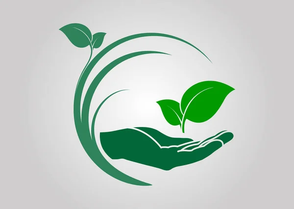 Φύλλο Στο Χέρι Εικονίδιο Οικολογική Σύμβολα Και Σημεία Πράσινη Φύση — Διανυσματικό Αρχείο