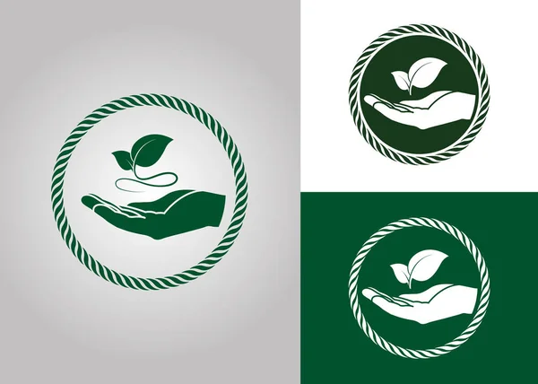 Hoja Icono Mano Símbolos Signos Ecológicos Concepto Naturaleza Verde Logotipo — Vector de stock