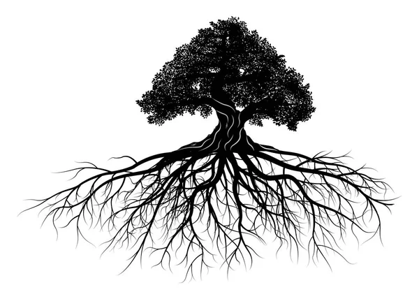 Silueta Árbol Sobre Fondo Blanco Ilustración Vectorial — Vector de stock