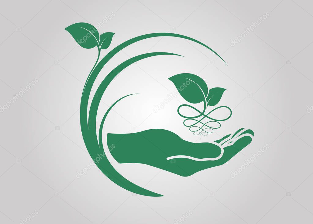 leaf in hand icon. ecological symbols and signs green nature concept, humans and plants logo, vector illustration