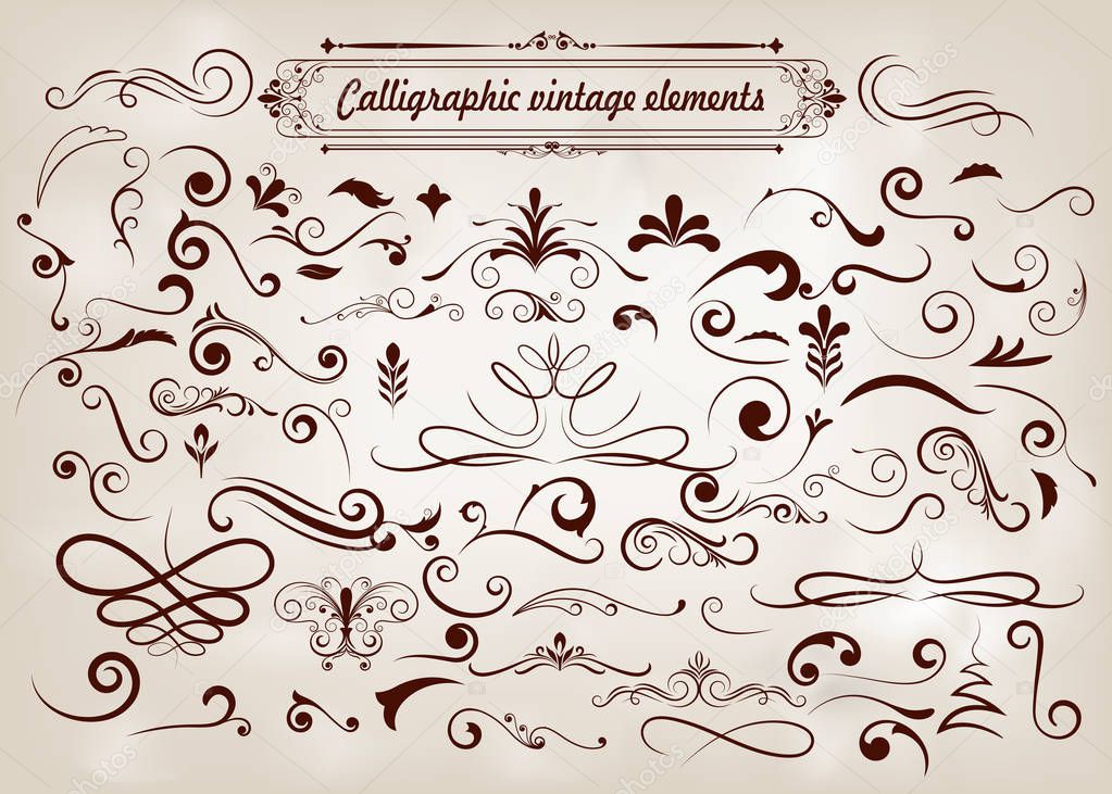 set of hand drawn elements curls and swirl, decorative vintage, frame or border decoration design