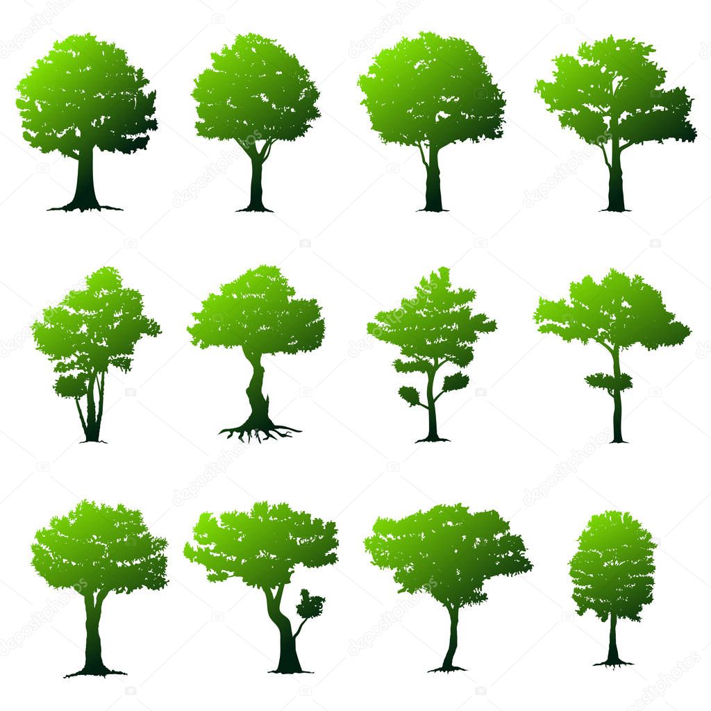 Set of trees on white background. Nature vector illustration.