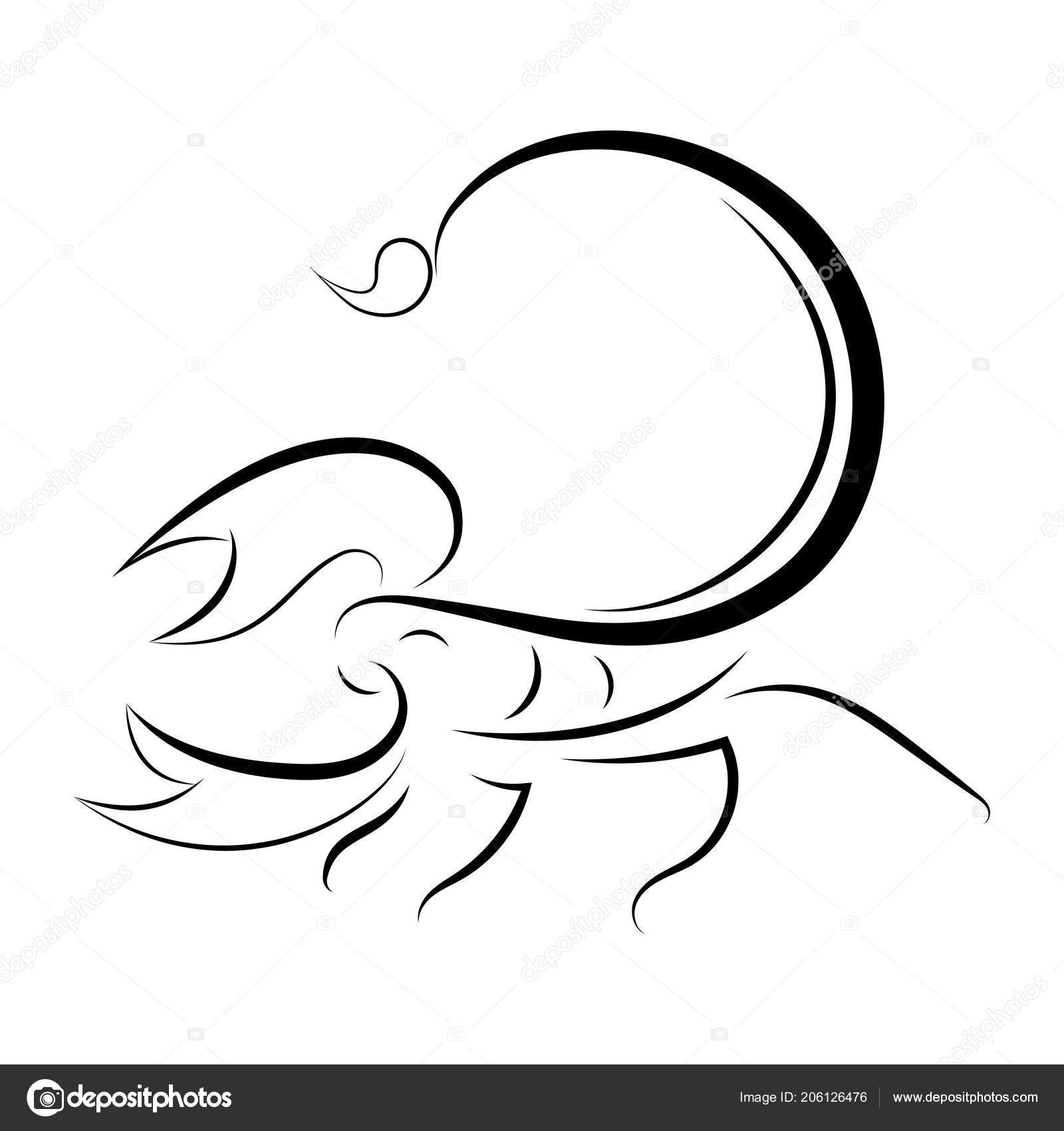 Scorpions Line Drawing White Background Vector Illustration Stock