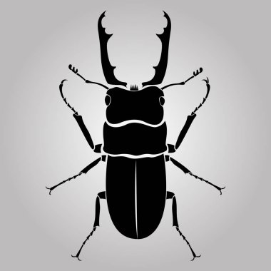 male stag-beetle isolated on white background, bug silhouette,strong insect, vector illustration clipart