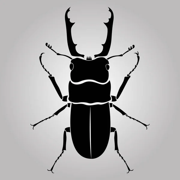 Hím Szarvasbogár Elszigetelt Fehér Háttér Bug Sziluett Erős Rovar Vektor — Stock Vector