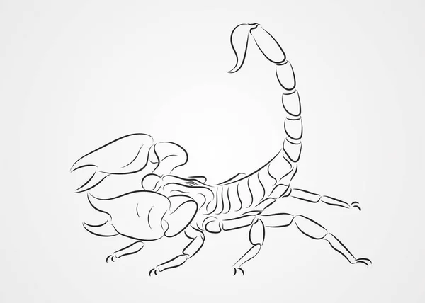 Scorpioni Linie Desen Fundal Alb Ilustrație Vectorială — Vector de stoc