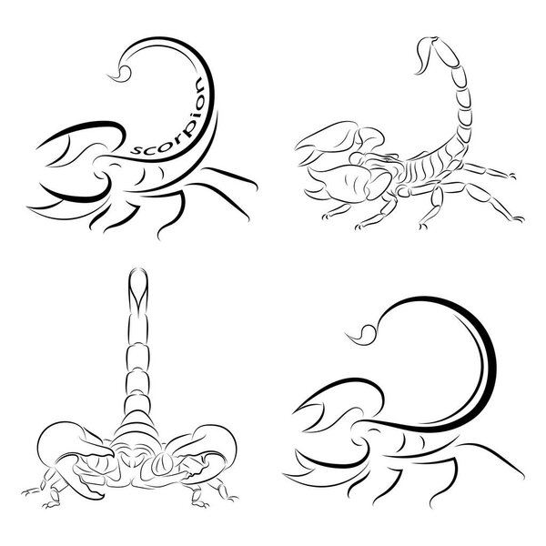 Рисунок линии скорпионов на белом фоне, векторная иллюстрация
