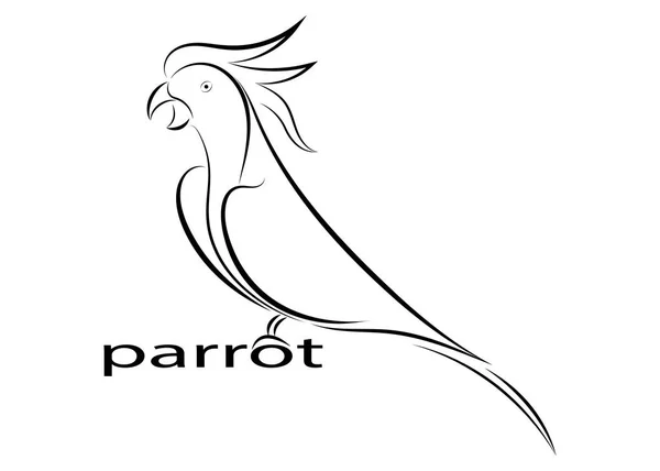 Rysowanie Linii Papuga Białym Tle Projekt Dla Deccorative Ikony Ilustracja — Wektor stockowy
