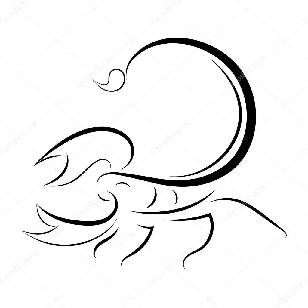Scorpions line drawing on white background,  Vector illustration