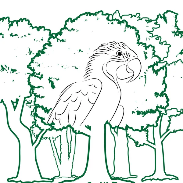 Papuga Las Białym Tle Projektowanie Pod Kątem Ozdobny Ikona Ilustracja — Wektor stockowy