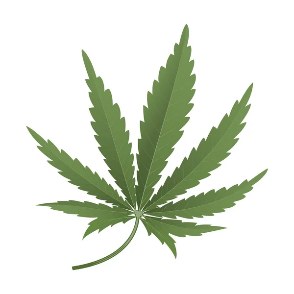 Hoja de cannabis — Vector de stock