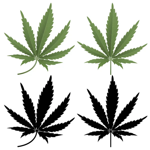Cannabis leaf — Stock Vector