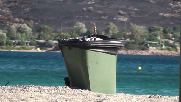 Utrzymuj Czystą Plażę Wyrzuć Śmieci Kosza Śmieci — Wideo stockowe