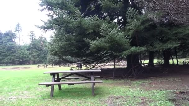树林里的一些木制长椅 — 图库视频影像