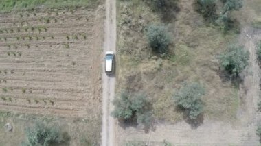 Tarlaların arasında toprak bir yolda giden bir arabanın üzerinde uçuyor..