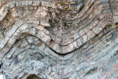 A geological fold in sedimentary rock. The fold is in a cliff. Many layers of sedimentary rock visible. Closeup view. clipart
