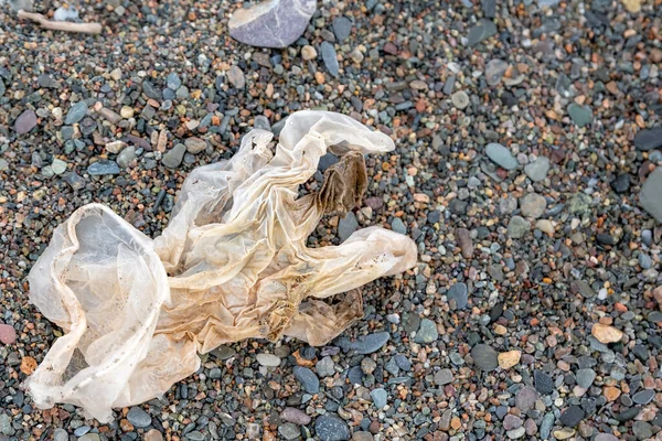 Clear Plastic Disposable Glove Rocky Beach Worn Crinkled Very Poor — Stock Photo, Image