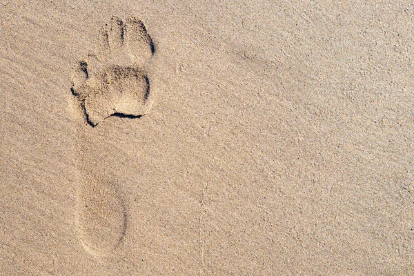 A single footprint in sand on a beach. The foot was bare and is the left foot. Lots of room for text.