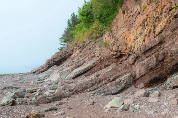 Cliff Composed Sedimentary Rock Cliff Ocean Rich Fossils Cliff Shallow — Stock Photo, Image