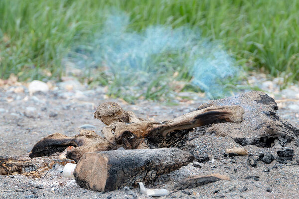 A small amount of smoke from a sand covered beach fire. Burnt and charred driftwood left from the fire. Grass in the background.