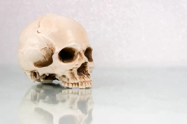 A human skull on a white glass desk. The skull is reflected in the glass. Lower jaw is missing. Room for text or to crop.