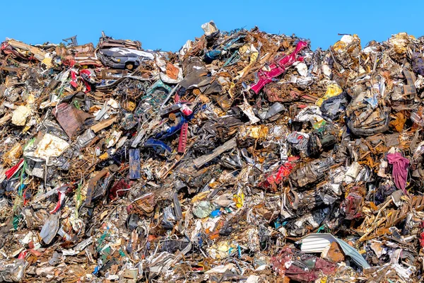 A large pile of scrap metal at a recycling yard. Unidentifiable cars, metal roofing, and other assorted metal all visible.