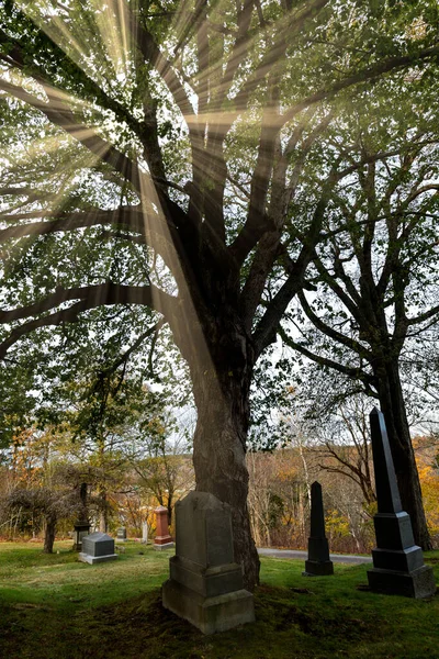 Gran Árbol Cementerio Con Rayos Sol Brillando Través Marcadores Graves — Foto de Stock