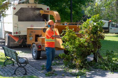 Saint John, NB, Kanada - 9 Eylül 2019: King 's Square' de bir belediye işçisi Dorian Kasırgası 'ndan sonraki temizlik kapsamında ağaç dallarını odun öğütücüsüne dallandırıyor. Odun parçaları şehir kamyonuna uçuyor..