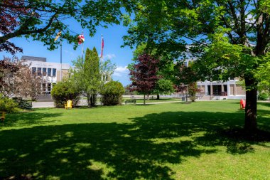 Saint John, New Brunswick, Kanada - 23 Haziran 2019: Trees and the shady lawn at the University of New Brunswick, Saint John kampüsü. Arka plandaki kampüs binaları ağaçlarla kısmen gizlenmiş..