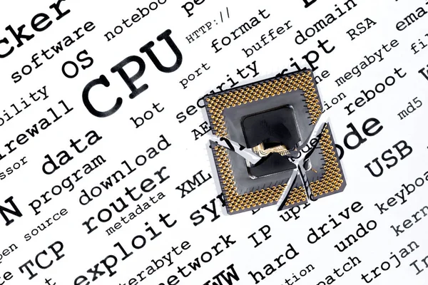 A cracked, broken CPU resting on computer related keywords.