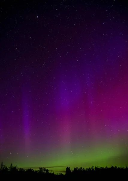 Aurora Borealis Het Noorderlicht Een Horizon Van Bomen — Stockfoto