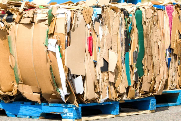 Des Paquets Carton Recycler Carton Est Emballé Dans Des Balles — Photo
