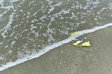 Sahilde yüzen enkaz kirlenmesine neden oldu.