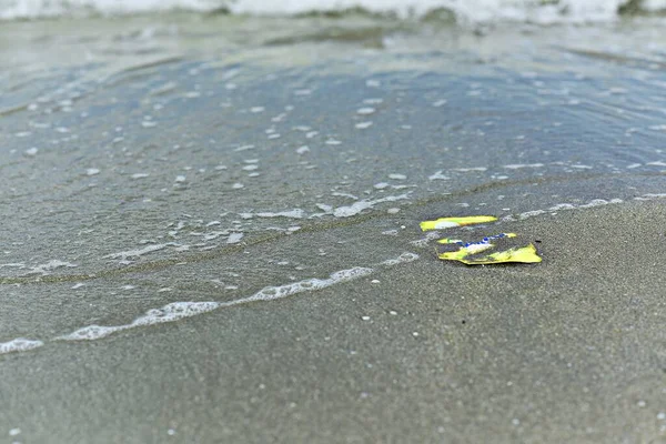 Debris Floated Beach Causing Dirty — Stock Photo, Image