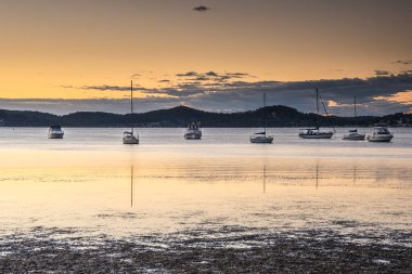 Koolewong Rıhtımı 'ndan gelen teknelerle birlikte NSW, Avustralya.