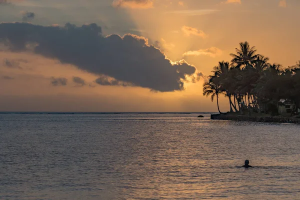 斐济珊瑚海岸带棕榈树的热带日落 — 图库照片