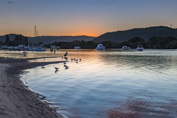 オーストラリア ニューサウスウェールズ州中央海岸のウーイ ウォーターフロントの鳥と日没の風景 — ストック写真