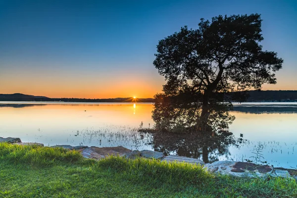 Sunrise Waterscape Woy Woy Waterfront Costa Central Nsw Australia — Foto de Stock