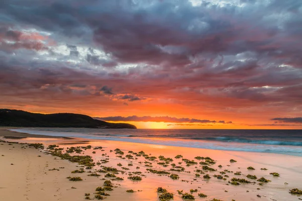 Paisaje Marino Colorido Del Amanecer Killcare Beach Costa Central Nsw — Foto de Stock