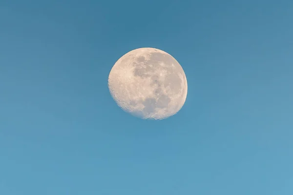 Waning Gibbous Moonwith Blue Sky Early Morning Woy Woy Nsw — Fotografia de Stock