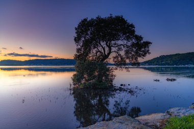 Sunrise Waterscape with Tree and Reflections at Woy Woy Waterfront at the Central Coast, NSW, Avustralya.