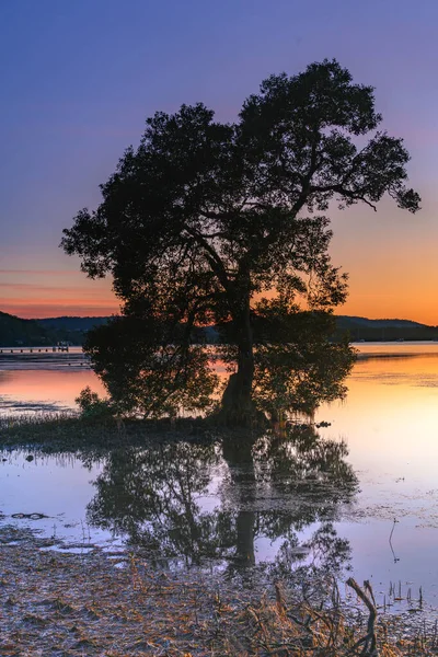 Bunte Wolken Spiegelungen Und Sonnenaufgang Vom Koolewong Waterfront Der Central — Stockfoto