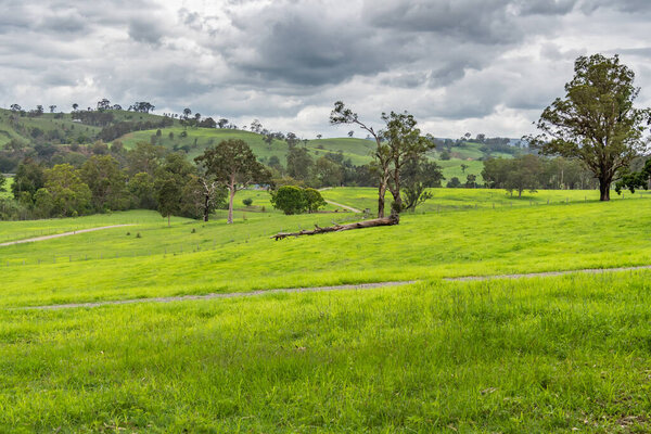 Загородный ландшафт с зеленой травой после летних дождей в Гресфорде, Хантер-регион, Новый Южный Уэльс, Австралия
.
