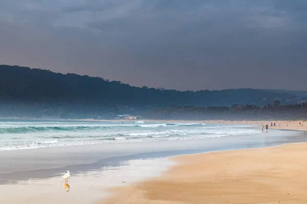 Alba Mare Umina Beach Sulla Costa Centrale Nsw Australia — Foto Stock