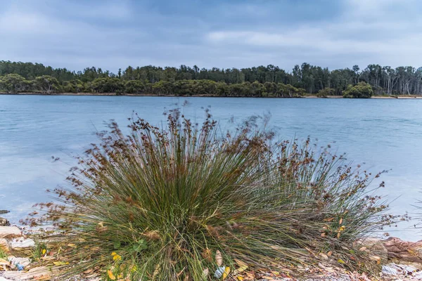 Overcast Sunrise Waterscape Woy Woy Waterfront Central Coast Nsw Australia — Stock Photo, Image