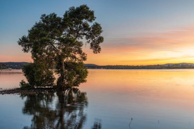 Orta Sahildeki Woy Woy rıhtımından gün doğumunu görüntülemek, NSW, Avustralya.