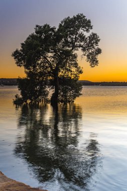 Orta Sahildeki Woy Woy rıhtımından gün doğumunu görüntülemek, NSW, Avustralya.